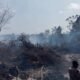 incêndios, chamas;