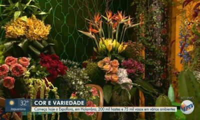 festa, de flores, evento, exposição;