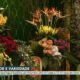 festa, de flores, evento, exposição;