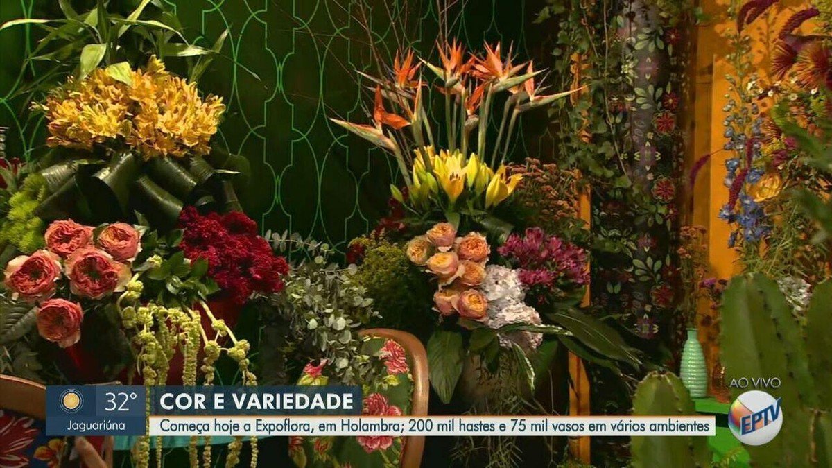 festa, de flores, evento, exposição;