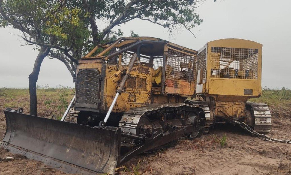 crimes contra o meio ambiente;