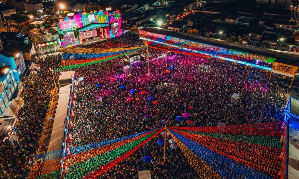 festividade, junina, festa, junina