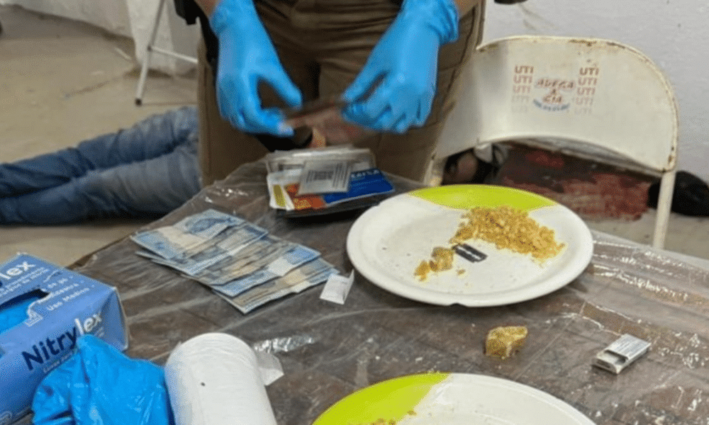 perseguição, buscas, rastreamento, de carro, policiais;
