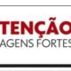 Crueldade, Crime, Animal, Doméstico;