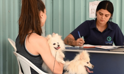 Clínica, Veterinária Móvel;