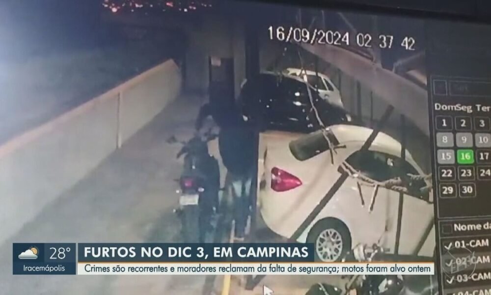 proteção, vigilância, defesa;