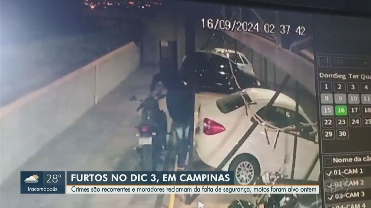 proteção, vigilância, defesa;