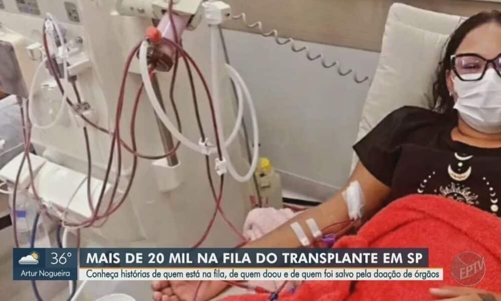 solidariedade, ato de solidariedade, gesto de solidariedade;