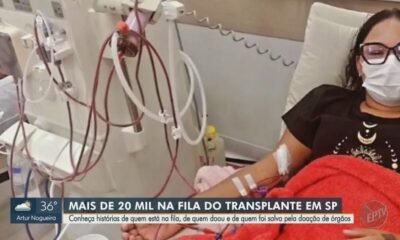 solidariedade, ato de solidariedade, gesto de solidariedade;