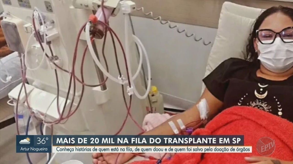 solidariedade, ato de solidariedade, gesto de solidariedade;