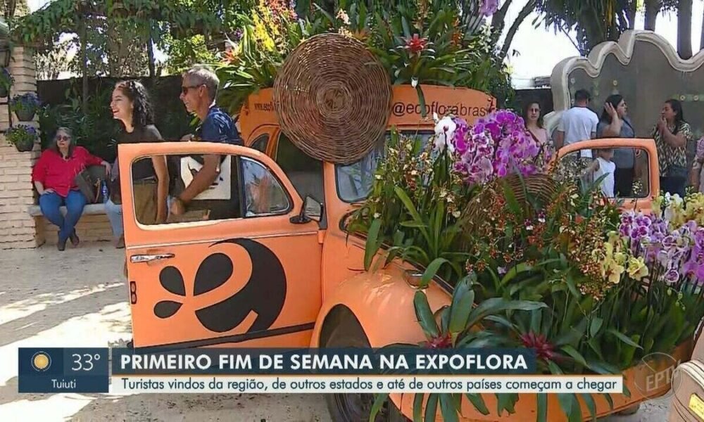 feira, de flores, evento, de plantas, exposição, de plantas;