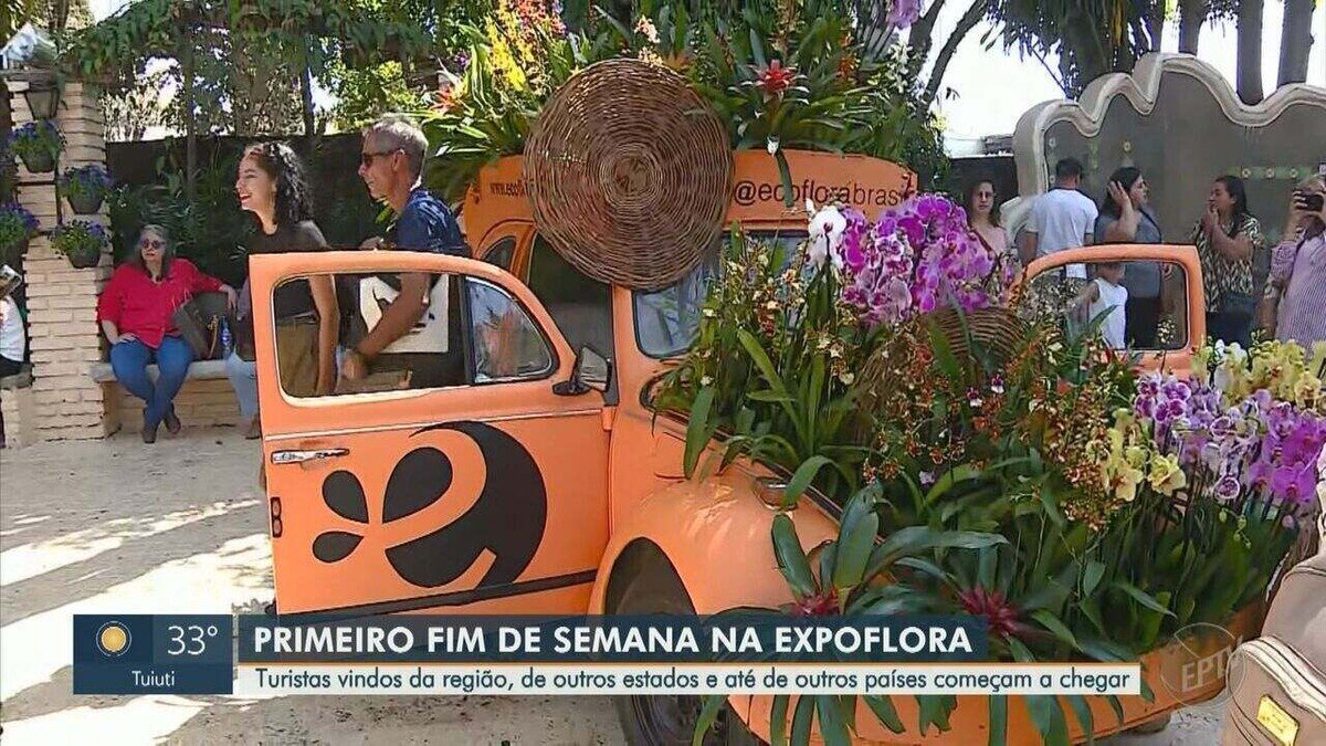 feira, de flores, evento, de plantas, exposição, de plantas;