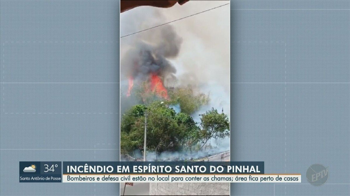 fogo, chamas, incêndio florestal, queimada;