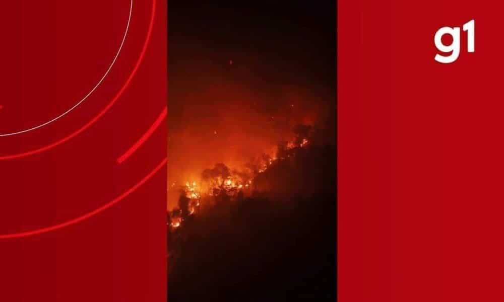 fogo, queimadas, desmatamento;