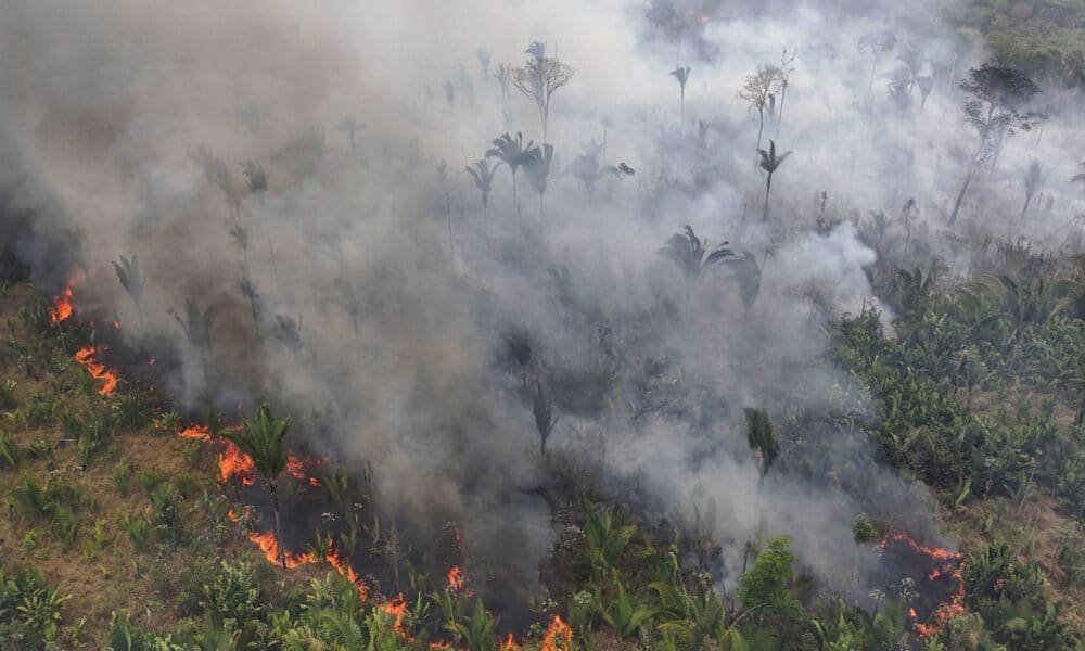 focos, de incêndio, chamas, queimada, fogo;