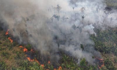 focos, de incêndio, chamas, queimada, fogo;