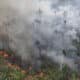 focos, de incêndio, chamas, queimada, fogo;