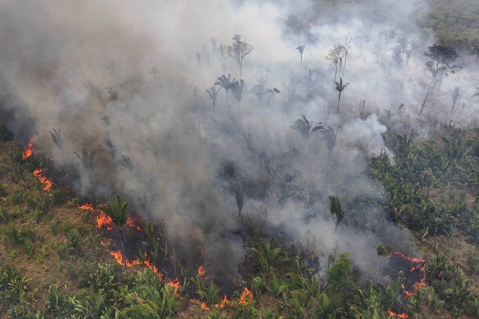 focos, de incêndio, chamas, queimada, fogo;