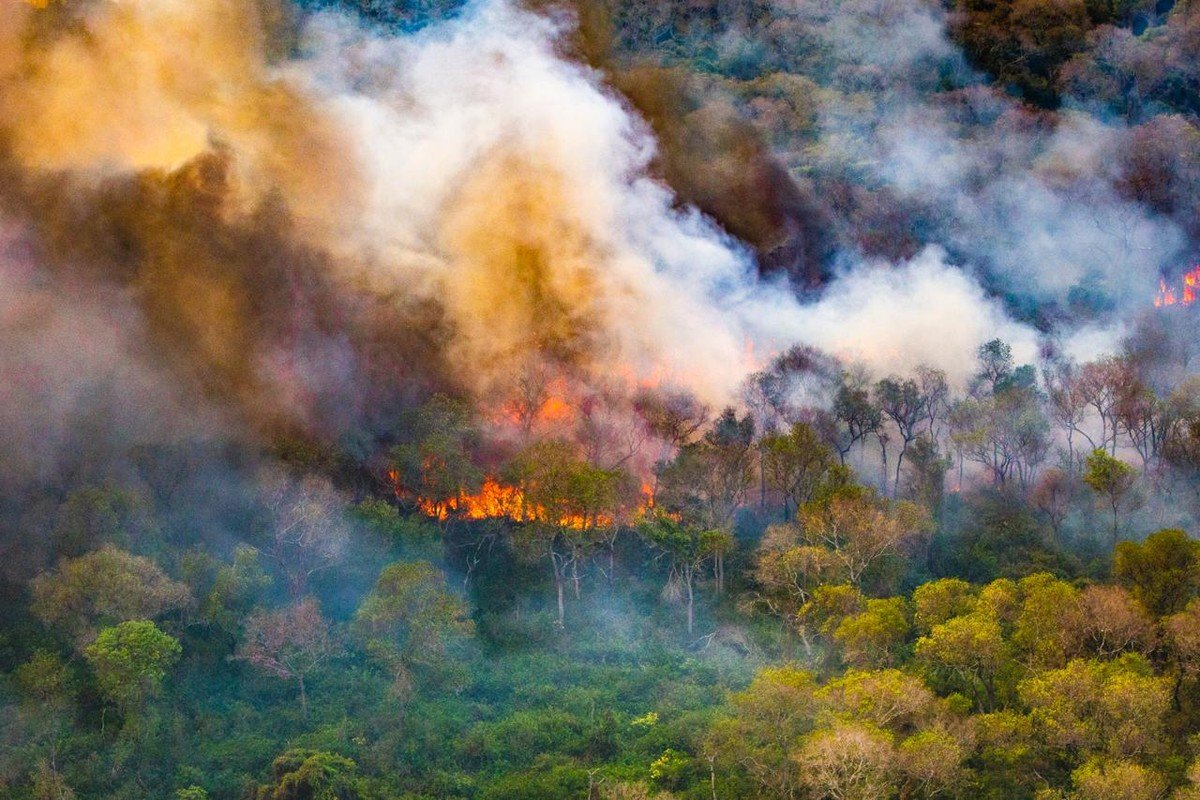queimadas, fogo, florestais;