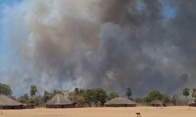 queimadas, fogo, incêndio;