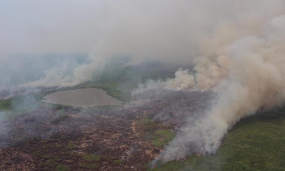 queimadas, fogo, incêndios;