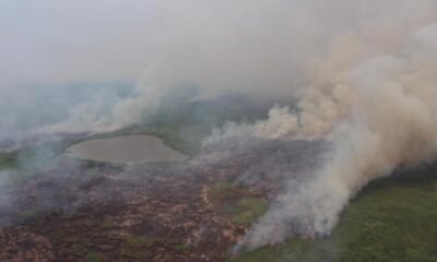 queimadas, fogo, incêndios;