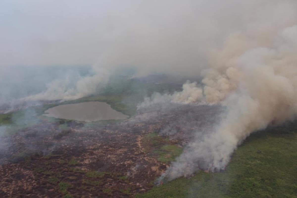 queimadas, fogo, incêndios;