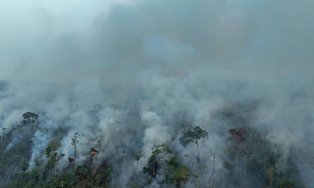 queimadas, fogo, incêndios florestais;