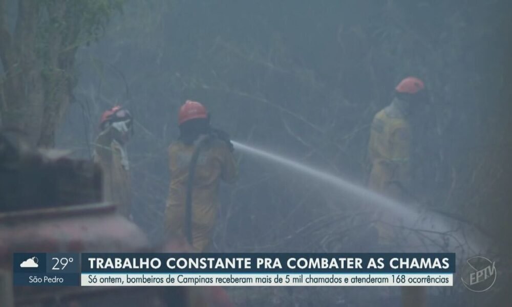 fogo, queimada, chamas;