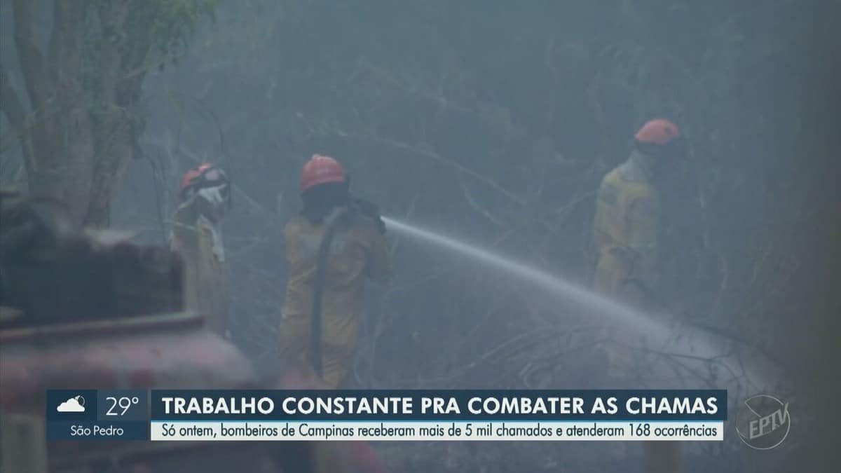 fogo, queimada, chamas;