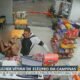 violência, agressão, abuso;