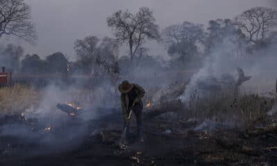 queimadas, fogo, chamas;