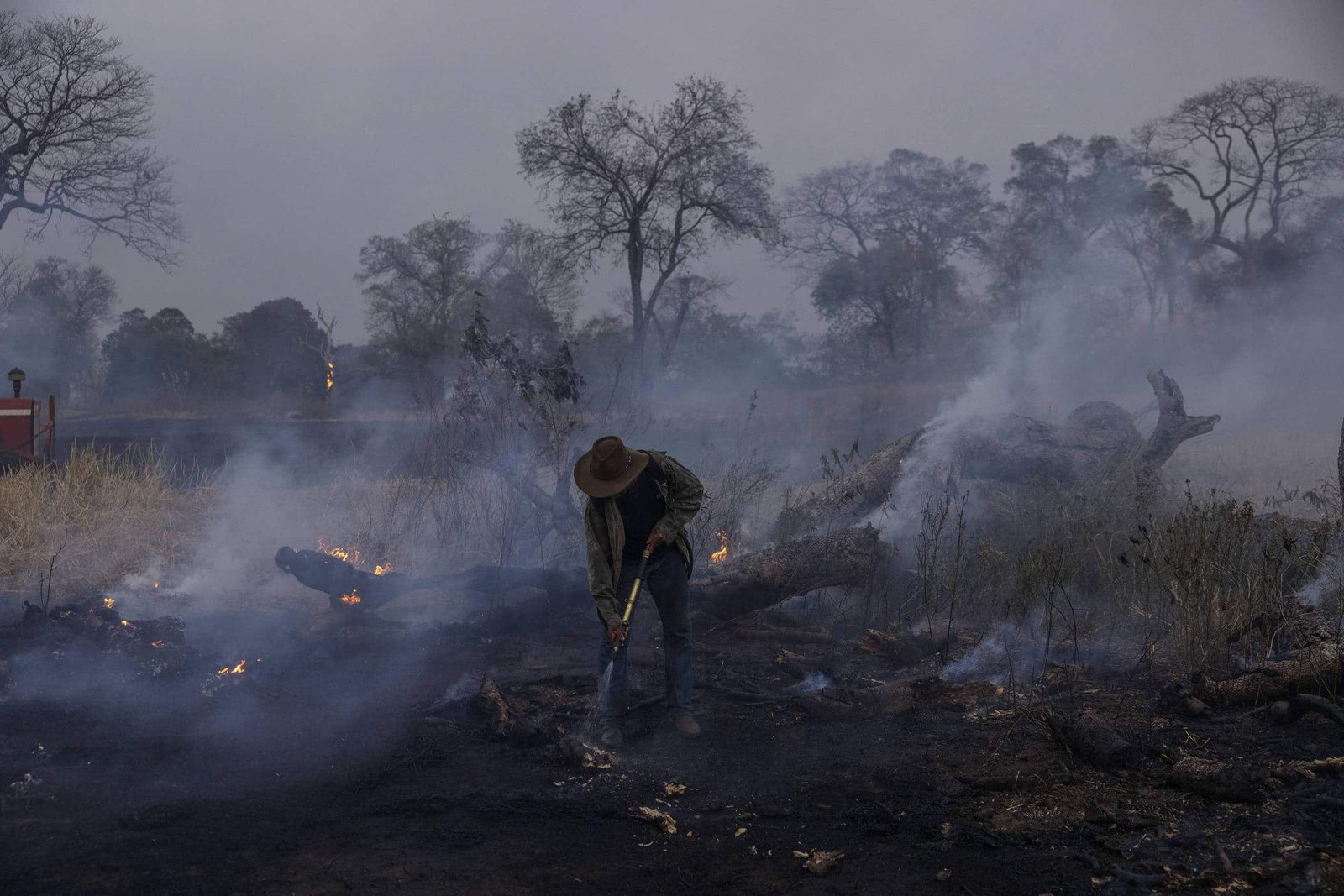 queimadas, fogo, chamas;