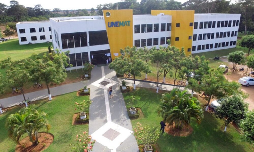 Universidade, do Estado, de Mato, Grosso, instituição, universidade;