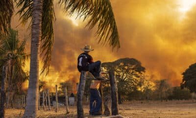 imagens, fotografias;