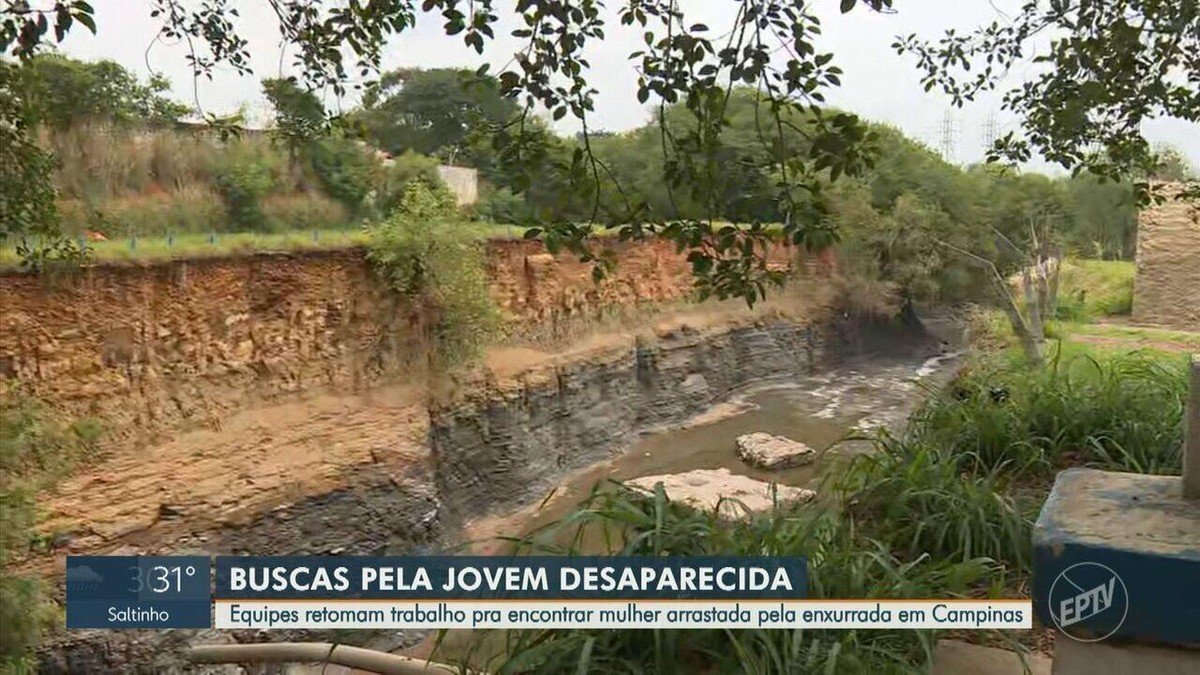Procuras, Pesquisas, Investigação;