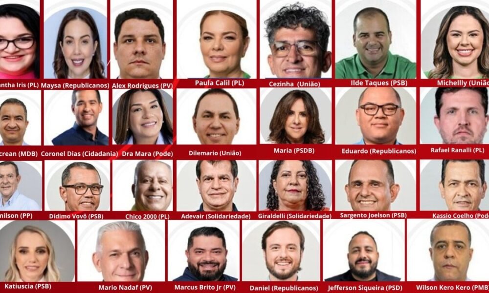 eleitos, parlamentares, legisladores;