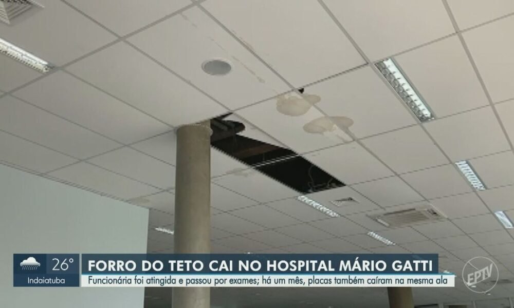 Empresa, Contratada;