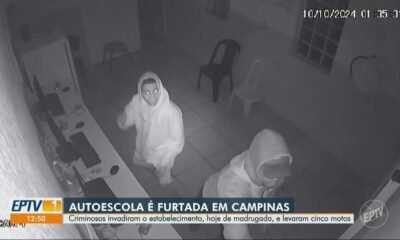 ladrões, assaltantes, bandidos;