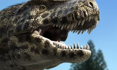 réplicas, de dinossauros, tiranossauro, rex;