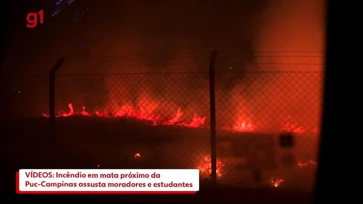fogo, chamas, fogaréu;