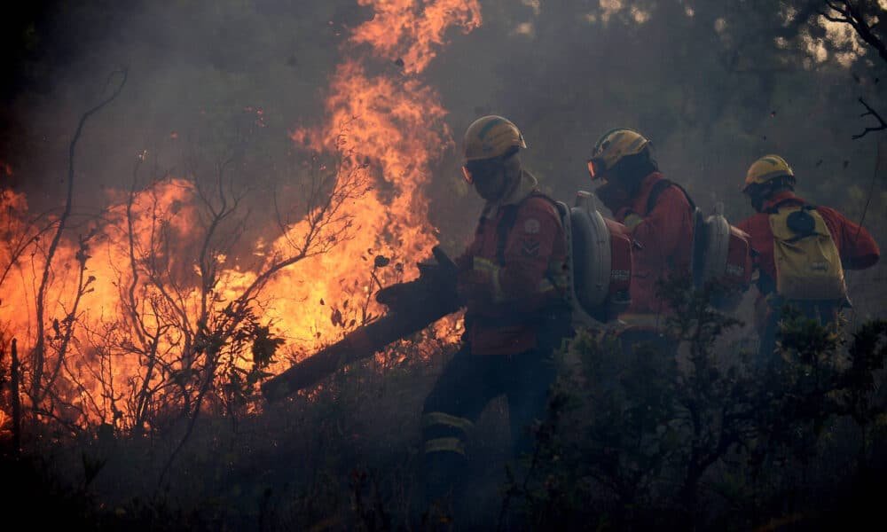 queimadas, fogo, chamas;
