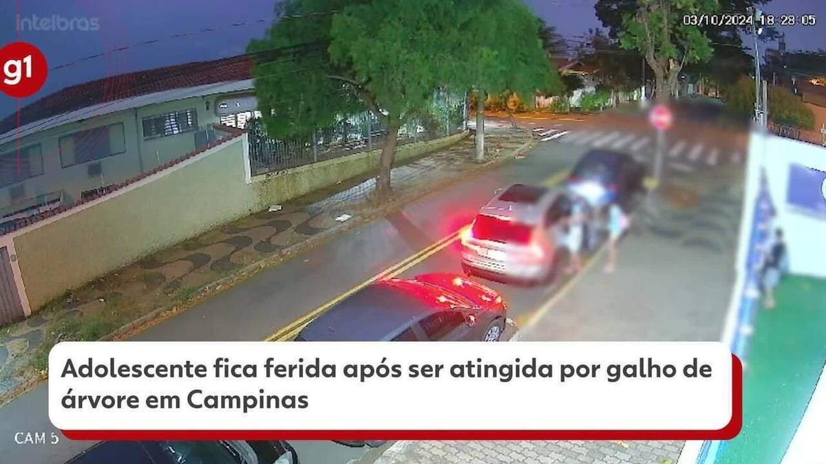 adolescente, menina, vítima;