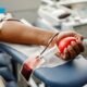 plasma, hemácias, transfusão;