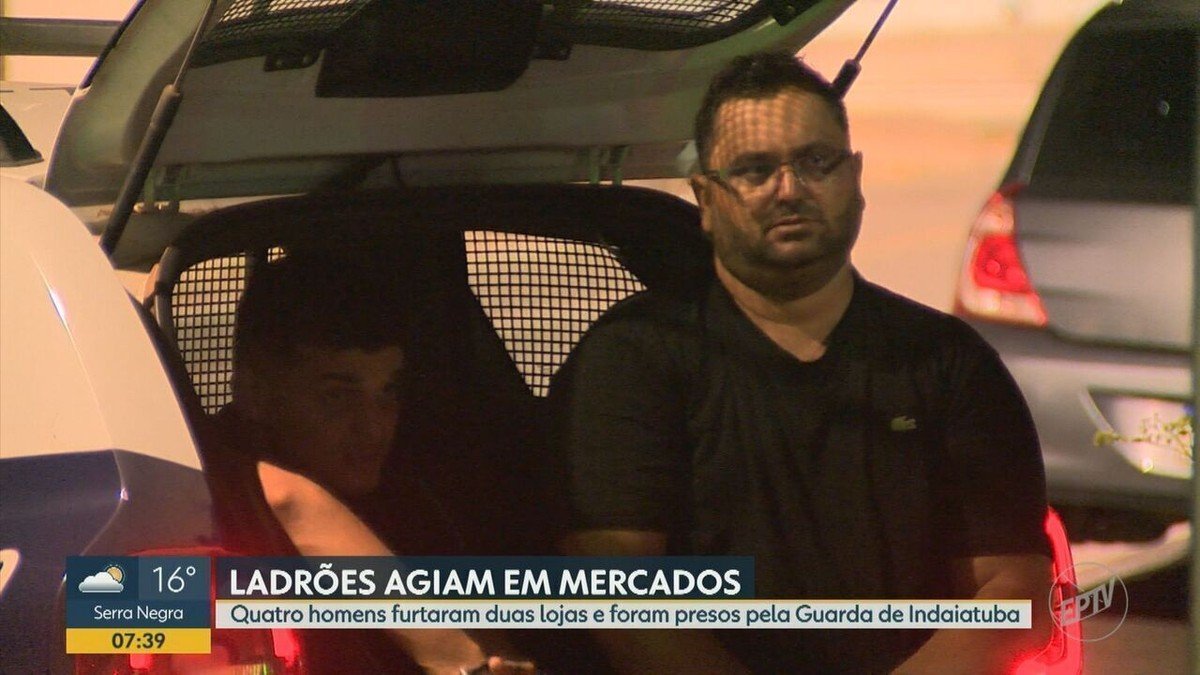 bando, gangue, grupo criminoso;