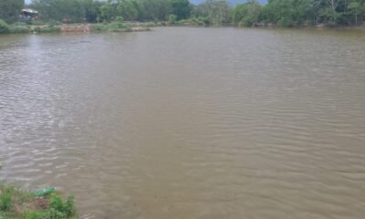Morte por afogamento, Afogamento acidental, Drowning;