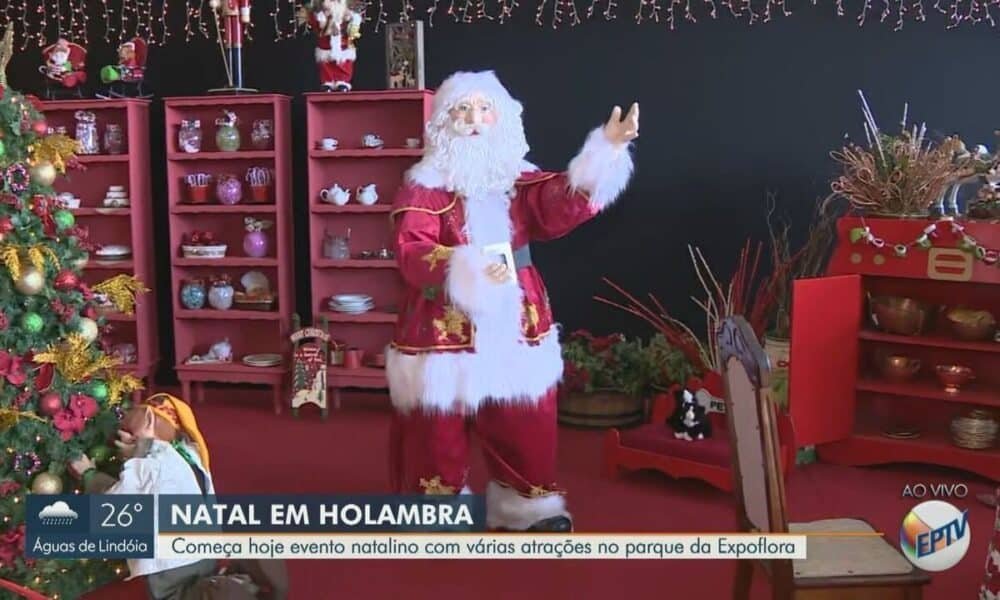 Festa, de Natal, Celebração, de Natal, Temporada, de Natal;