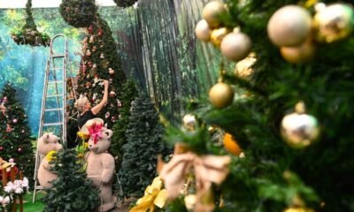 Bom Velhinho, Chegada do Papai Noel;