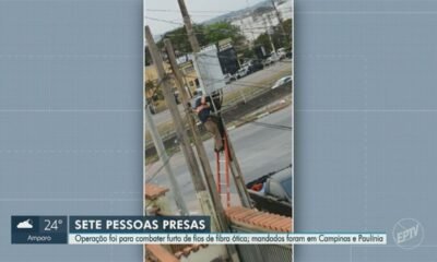 autoridades, forças, policiais, segurança, pública;