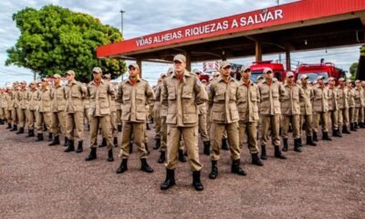 Bombeiros, Militares, estaduais';